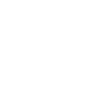 Central City Management
